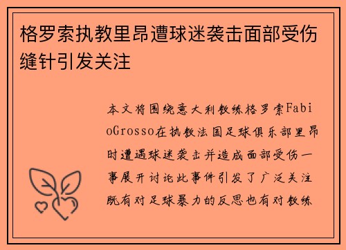 格罗索执教里昂遭球迷袭击面部受伤缝针引发关注